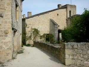 Larressingle - Facciate di pietra del borgo medievale