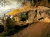 Las cuevas de Arcy-sur-Cure - Guía turismo, vacaciones y fines de semana en Yonne