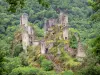 Las torres de Merle - Guía turismo, vacaciones y fines de semana en Corrèze