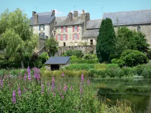 Lassay-les-Châteaux - Houses of the town overlooking the lake; purple flowers in the foreground