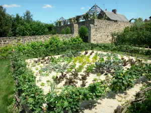 Lassay-les-Châteaux - Medieval garden: orchard