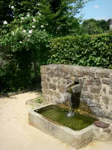 Lassay-les-Châteaux - Medieval garden: fountain