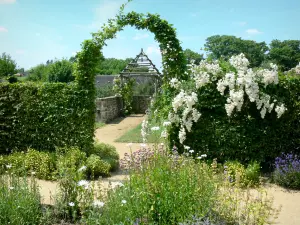 Lassay-les-Châteaux - Flowers of medieval garden