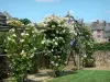 Lassay-les-Châteaux - Escaladores en las flores del jardín medieval