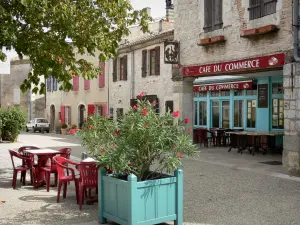 Lauzerte - Arbusto de flores en maceta, terraza de la cafetería y las fachadas de las casas en la plaza de los ángulos