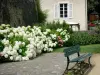Laval - White hydrangeas, house facade and bench