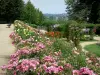 Laval - La Perrine garden: rose garden and roses in bloom