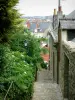 Laval - Éperons staircase with a view over the rooftops of Laval