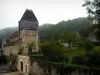 Lavardin - Iglesia de Saint-Genest-casas románicas del pueblo, jardines y árboles