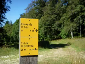 Lente Forest - Directional sign in the heart of the national forest