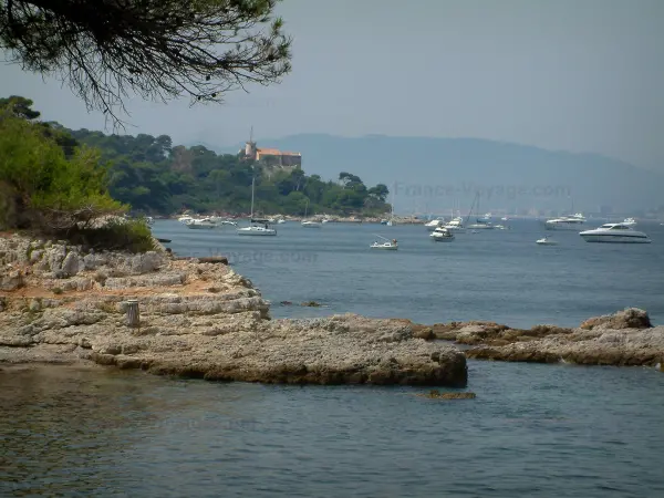 Lérins-eilanden - Île Sainte-Marguerite takken van een den (boom) op de voorgrond, rotsen, zee met boten, bos, Fort Royal (Sea Museum) en de kust van de Côte d'Azur op de achtergrond