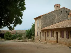 Lérins island - Sainte-Marguerite island: tree and buildings of the Royal fort