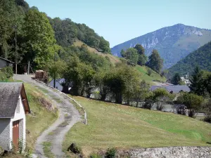 Lesponne valley - Road, houses and trees in the Bigorre area