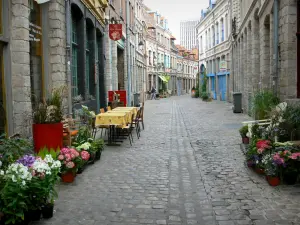 Lille - Rue pavée ornée de fleurs et maisons du Vieux-Lille (vieille ville)