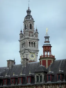 Lille - Campanile de la Vieille Bourse et beffroi de la Chambre de Commerce et d'Industrie