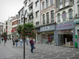 Lille - Einkaufsstrasse mit ihren hängenden Blumen, ihren Boutiquen und ihren Häusern