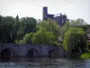 Limoges - River (Wenen), Pont Saint-Etienne, bomen en St. Stephen's kathedraal in de gotische stijl domineert alle