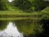 Limousin landscapes - Pond, shrubs and prairie dotted with wild flowers