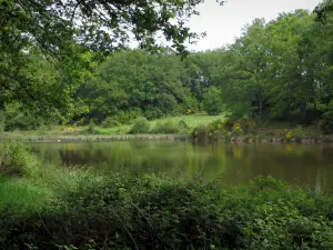 Limousin landscapes - Pond surrounded by trees and shrubs
