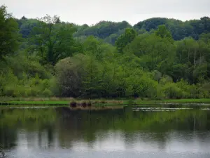 Limousin landscapes - Lake, trees and forest