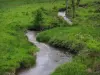 Limousin landscapes - Meadow with a small river