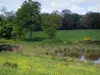 Limousin landscapes - Wild flowers, pond, prairie and trees, in Basse-Marche