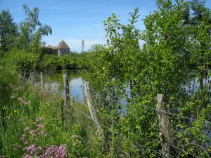 Limousin landscapes - Wild flowers, fence, shrubs, pond and the Carmelites convent in Mortemart