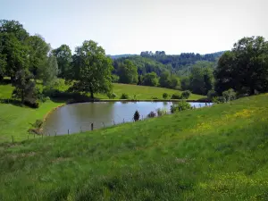 Limousin landscapes - Meadows, pond and trees