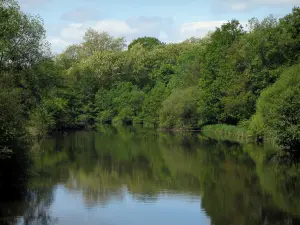 Limousin landscapes - Trees on the edge of a pond