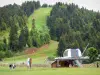 Der Liora - Seilbahn, Pisten und Tannen im Skigebiet Lioran im Sommer; im Regionalen Naturpark der Vulkane der Auvergne