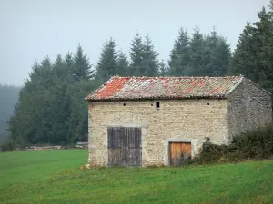 Livradois-Forez Regional Nature Park - Stone hut in a pasture and trees in the background