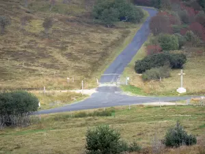 Livradois-Forez Regional Nature Park - Col des Supeyres pass: road lined with pastures and shrubs, cross