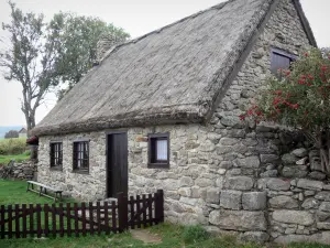 Livradois-Forez Regional Nature Park - Stone house with a thatched roof (thatched cottage) in the Forez mountains