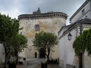 Loches - Royal poort (versterkte poort) die leidt naar de citadel, bomen en huizen in de stad