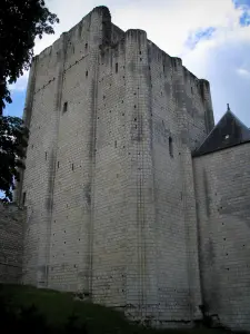 Loches - Donjon