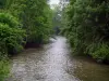 Loir valley - The Loir River lined with trees