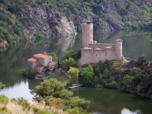 Loire gorges - Island and Château de Grangent, Grangent lake (water reservoir on the Loire River) and trees along the water