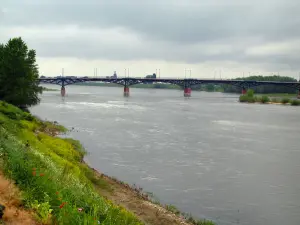 Loire Valley - Bank with wild flowers, bridge spanning the Loire River, and cloudy sky