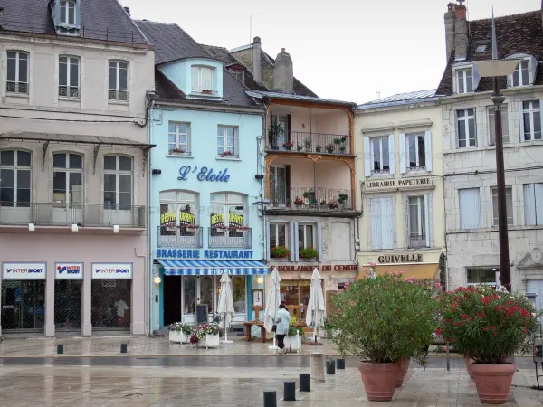 Lons-le-Saunier - Gevels van huizen en winkels in de Place de la Liberte, bloeiende struiken in potten