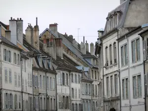 Lons-le-Saunier - Facades of houses