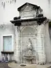 Lons-le-Saunier - Dauphins fountain