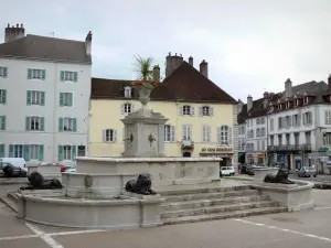 Lons-le-Saunier - Lions fountain and buildings of the city