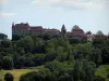 Loubressac - Castelo (à esquerda), casas da vila medieval e árvores, em Quercy