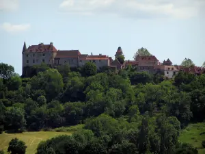 Loubressac - Castle (on the left), houses of the medieval village and trees, in the Quercy