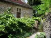 Loubressac - Stenen huis, wijnstok en de stenen muur