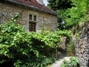 Loubressac - Stone house, vineyards and stone wall