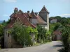 Loubressac - Häuser, Vegetation, Strassenleuchte und Strasse
