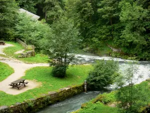 Loue source - Site of the source: Loue river, picnic tables, trees along the water