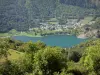 Louron valley - Génos-Loudenvielle lake, banks, village of Génos and trees