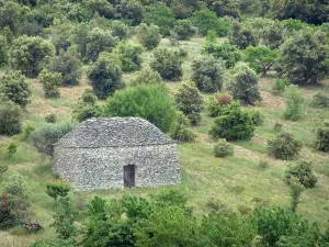Luberon - Cabane en pierre sèche (borie) entourée d'arbres